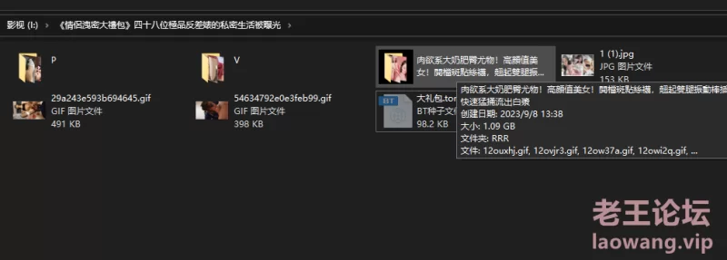 附赠6P1V 1.09G资源